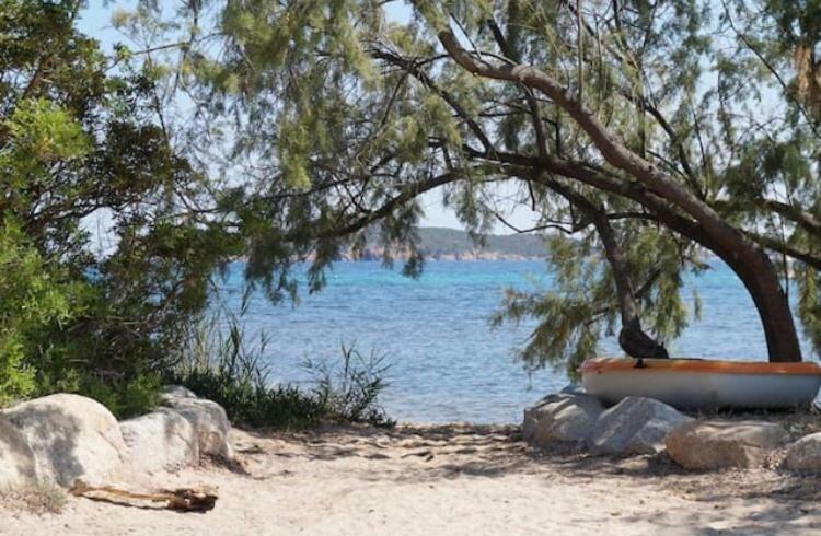 Marina Di Pinarello, Appt Climatise A 400M De La Plage Zonza Bagian luar foto
