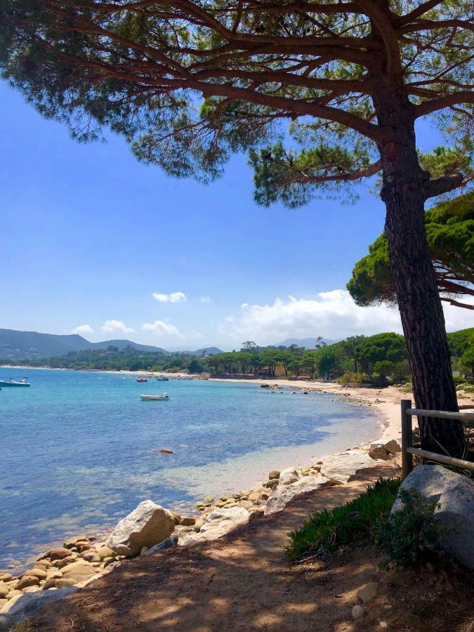 Marina Di Pinarello, Appt Climatise A 400M De La Plage Zonza Bagian luar foto